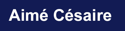métro Aimé Césaire