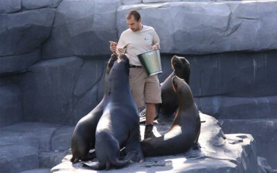 Quel métro pour le Parc zoologique de Paris ?